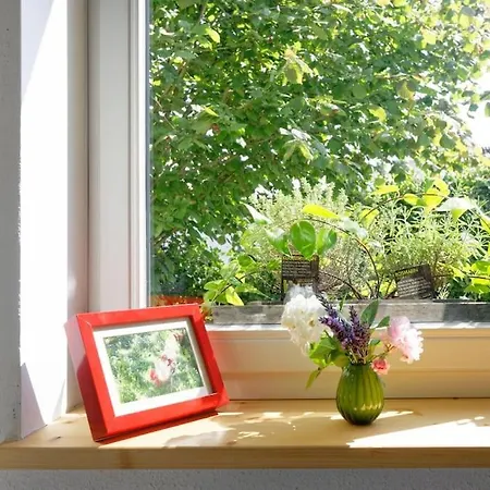 Appartement Gute Lage, 3 Raeder, Gruen, Familien