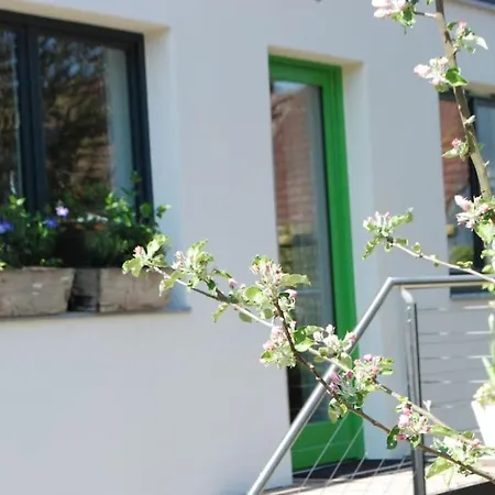 Appartement Gute Lage, 3 Raeder, Gruen, Familien Trèves