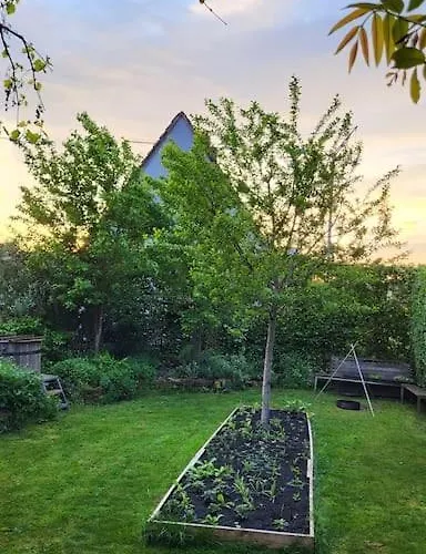 Lejlighed Gute Lage, 3 Raeder, Gruen, Familien