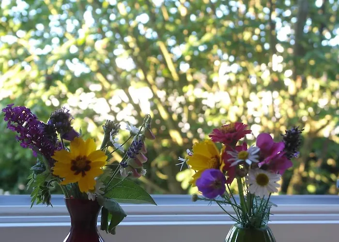 Lejlighed Gute Lage, 3 Raeder, Gruen, Familien *